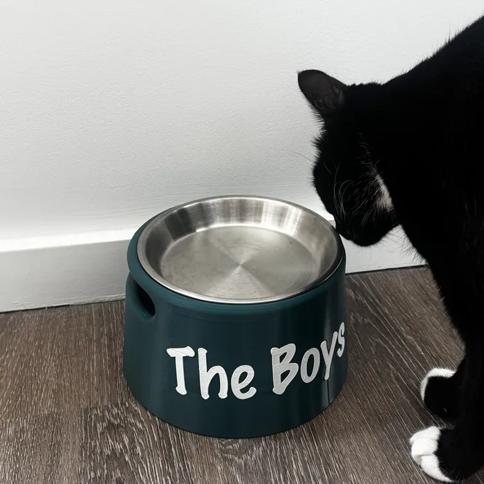 "The Boys" pet bowl
